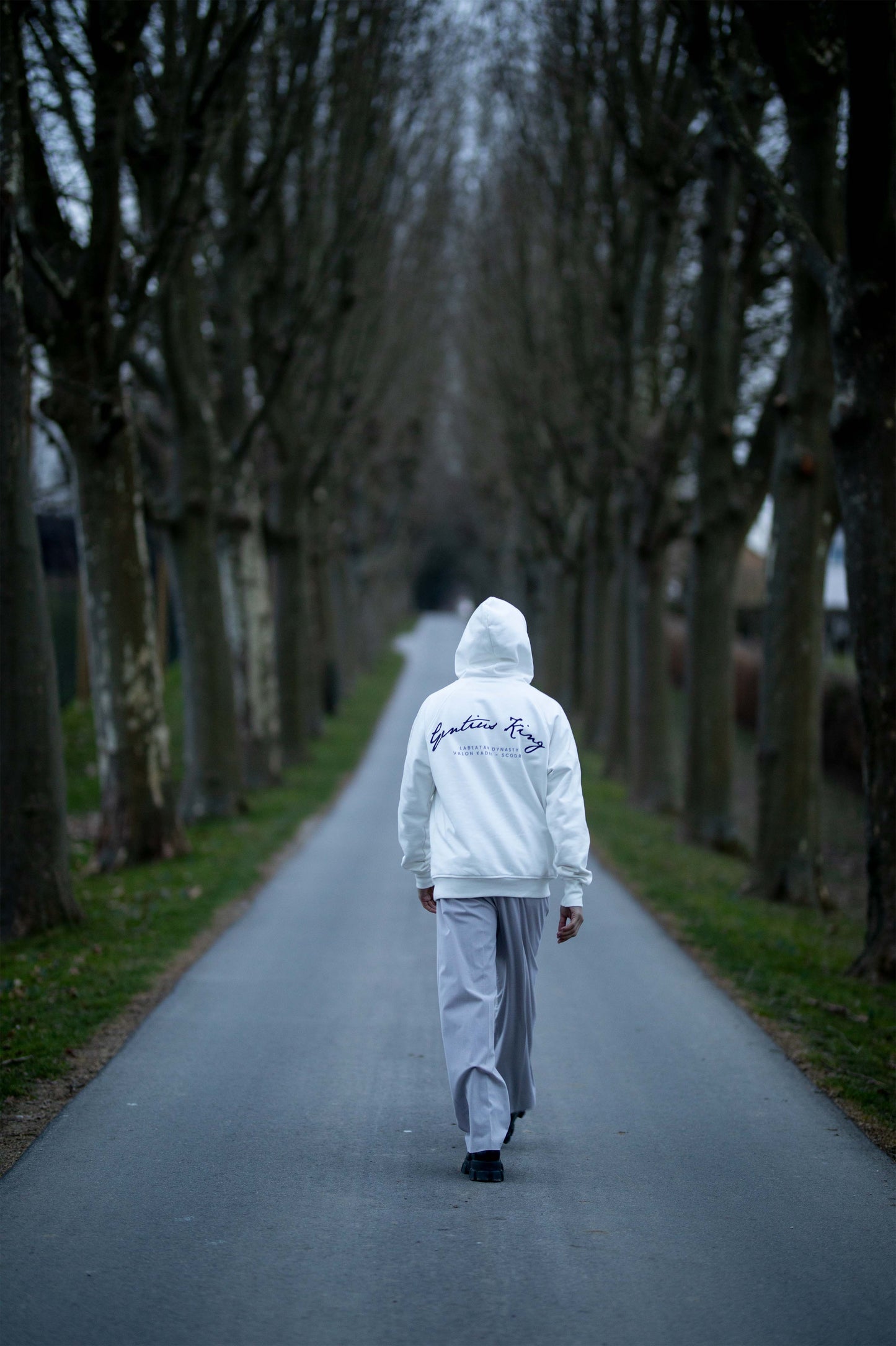 Gentius King / Hoodie